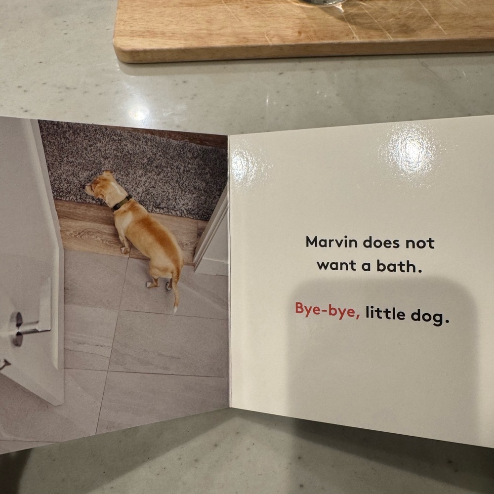 Lovevery Book - My First Words - Picture 14 of 15